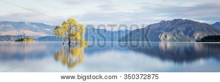That Wanaka Tree New Zealand. Lone Tree In Lake. Wanaka Tree In Lake Wanaka South Island New Zealand