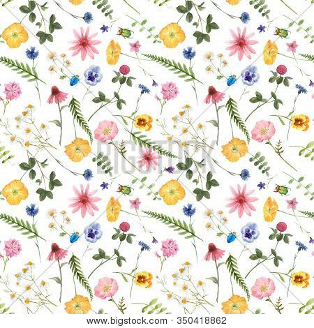 Beautiful Vector Floral Summer Seamless Pattern With Watercolor Hand Drawn Field Wild Flowers. Stock