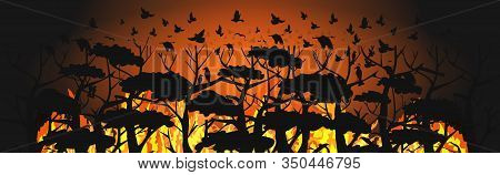Birds Silhouettes Flying Over Wildfire Forest Escaping From Fires In Australia Animals Dying In Bush