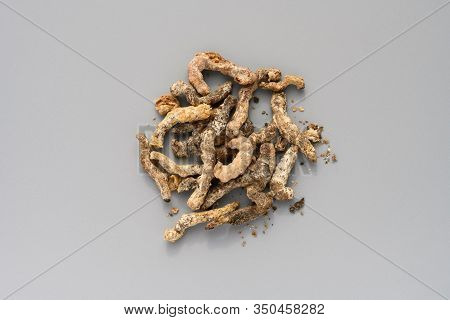 Chinese Medicine Jiangcan Or Bombyx Batryticatus Or Stiff Silkworm