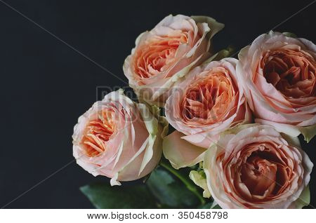 Beautiful Bouquet Of Fresh Peach-colored Roses. Photo In Retro Style. Selective Focus.