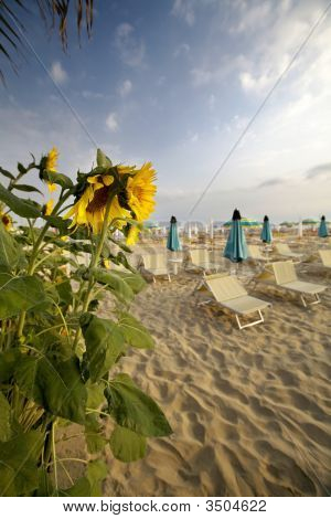 Bella spiaggia
