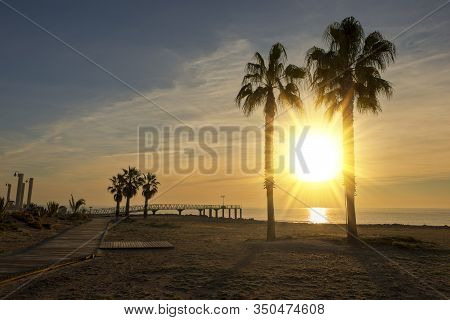 Two Palm Trees On A Beach At Sunrise