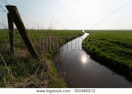 Small Stream In A Natural Area Next To Amsterdam Harbor