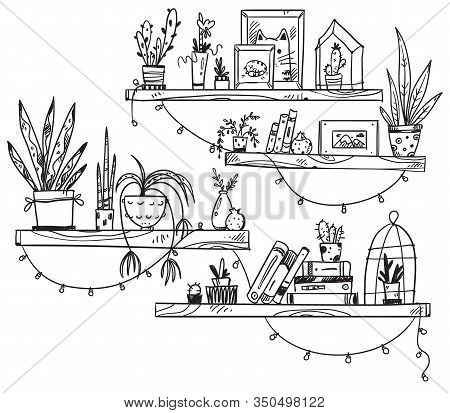 Hand Drawn Bookshelves With Books, Houseplants And Little Souvenirs. A Cosy Place