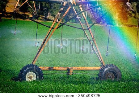 Sprinkers irrigating crops green lush field farming grains water spraying rainbow from mist misty