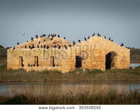 A Ruined Building Reflecting Into The Water With Birds On Top Of It