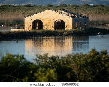 A Ruined Building Reflecting Into The Water With Birds On Top Of It