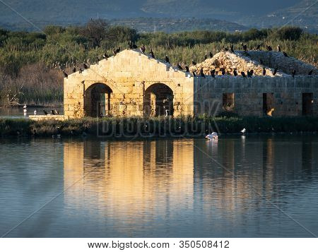 A Ruined Building Reflecting Into The Water With Birds On Top Of It
