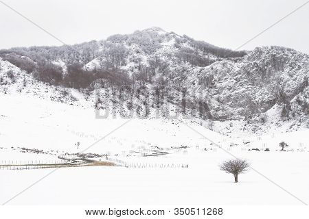Natural Park Of Gorbeia, Basque Country/spain; Feb. 03, 2013. The Snow-covered Arraba Fields In Wint