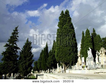 Cemetery3