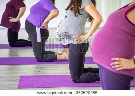 Pregnant Women Are Doing Yoga And Maditing In Yoga Class, Healthy Prenatal Lifestyle
