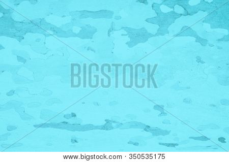 Platanus Or Sycamores Bark Tree Background. Abstract Texture Background. Turquoise Toned Photo