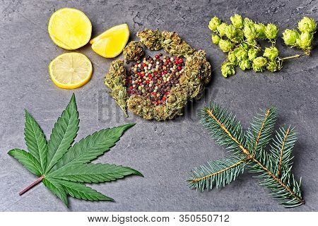 Cannabis Bud And Leaf With Hoppy, Pepper, Lemon And Fir Needles