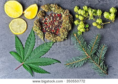 Cannabis Bud And Leaf With Hoppy, Pepper, Lemon And Fir Needles