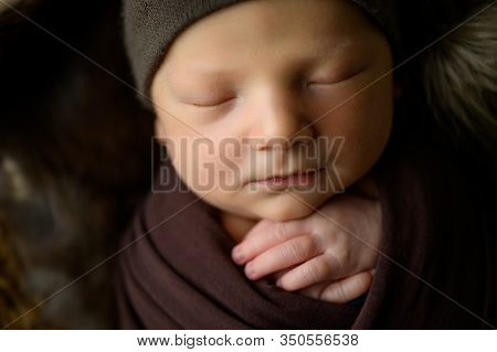 Newborn Baby Sleeping In A Basket