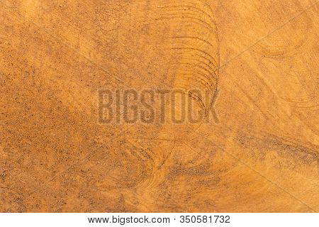 Tree Trunk After Being Cut. Wood Texture And Background. Gangue Backdrop.
