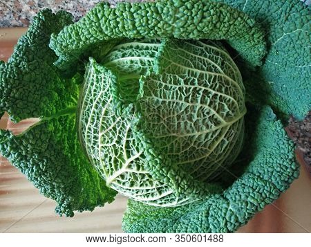 A Splendid Savoy Cabbage Photographed On A Banquet Of A Local Market