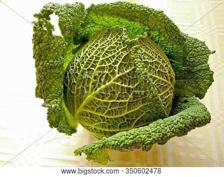 A Splendid Savoy Cabbage Photographed On A Banquet Of A Local Market