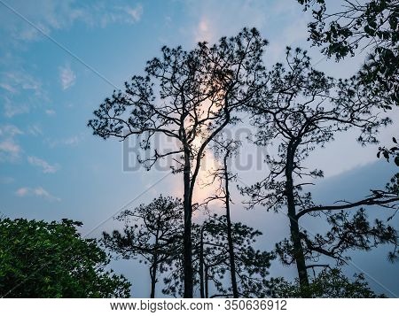 Scenery View In The Morning On Phu Kradueng Mountain National Park In Loei City Thailand.phu Kraduen