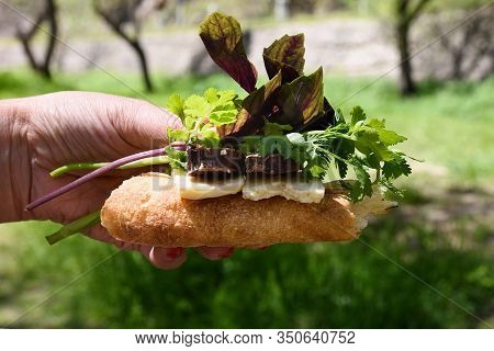 Pita Bread, Sujuk And Greens - Sandwich Of Armenian National Products In Hand For Outdoor Snacks At 