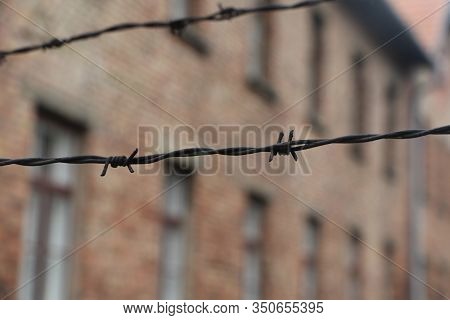 Barbed Wire Around A Concentration Camp. Prison Fence, Maximum Security Colony. Auschwitz Concentrat