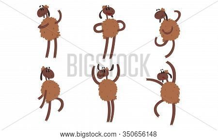 Funny Sheep Collection, Humanised Farm Animal Cartoon Character Standing On Hind Legs Vector Illustr