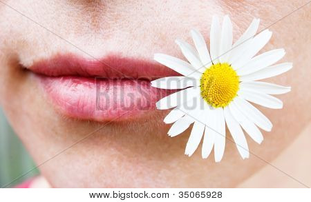 카모마일과 그녀의 입술