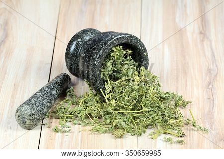 Dried Tribulus Terrestris In The Mortar.  Curative Herb Tribulus Terrestris And  Its Seeds Called De