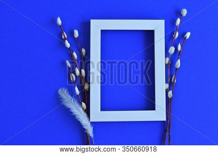White Photo Frame And Pussy Willow Branches With Catkins On A Classik Blue Background.copy Space In 