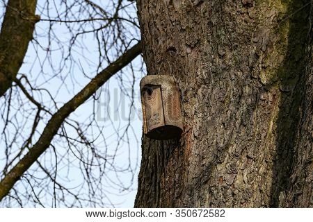 Birdbox - Box As House For Bird Animal
