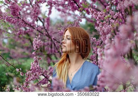 Beautiful Dreaming Redhead Woman In Spring Time Blossom Cherrytrees Garden.