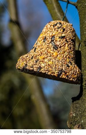 Bell From Various Grains, A Delicacy For All The Birds In The Garden