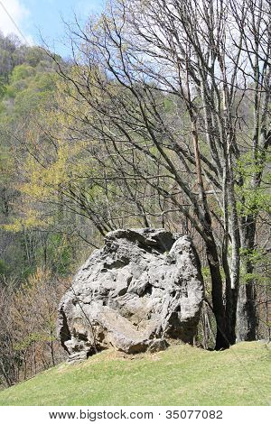 Stałego Rock wychodzą
