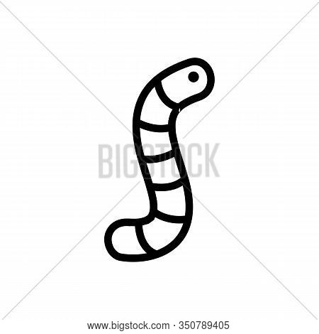 Worm Icon Vector. Thin Line Sign. Isolated Contour Symbol Illustration