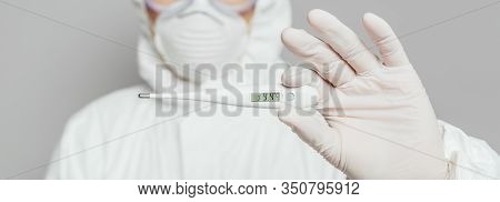 Cropped View Of Epidemiologist Holding Thermometer Showing High Temperature Isolated On Grey, Panora