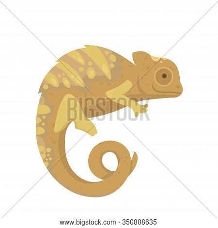 Yellow Lizard Chameleon Isolated On White Background. Sienna, Pastel, Gold Colours.