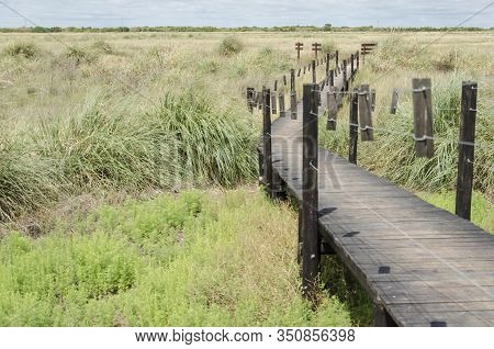 Elevated Wooden Path Over A Grassland, In San Clemente Del Tuyu, Buenos Aires, Argentina