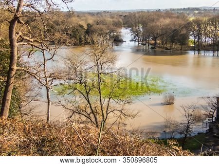 River Mole Near Cobham In Surrey In Flood February 2020. England Uk. Flooded Fields And Woodland.