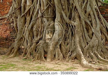 Head Of A Buddha Image In The Bodhi Tree Roots In Wat Mahathat Ancient Temple, Ayutthaya Historical 