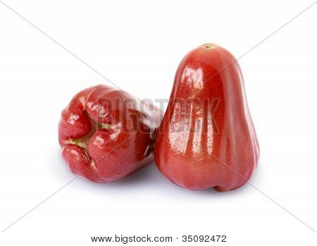 ชมพู่