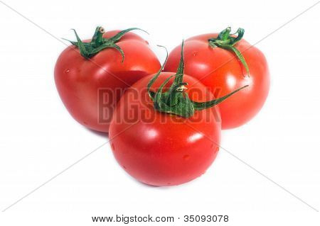 Frisk tomat