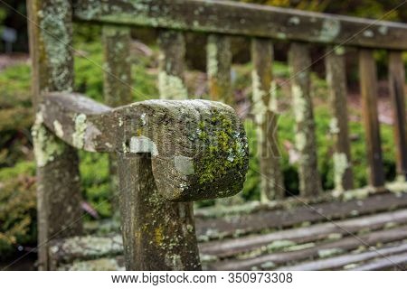 Lychen, Moss And Fungi On Old Wooden Bench Handle. Wet Climate, Humid Climate Outdoor Object