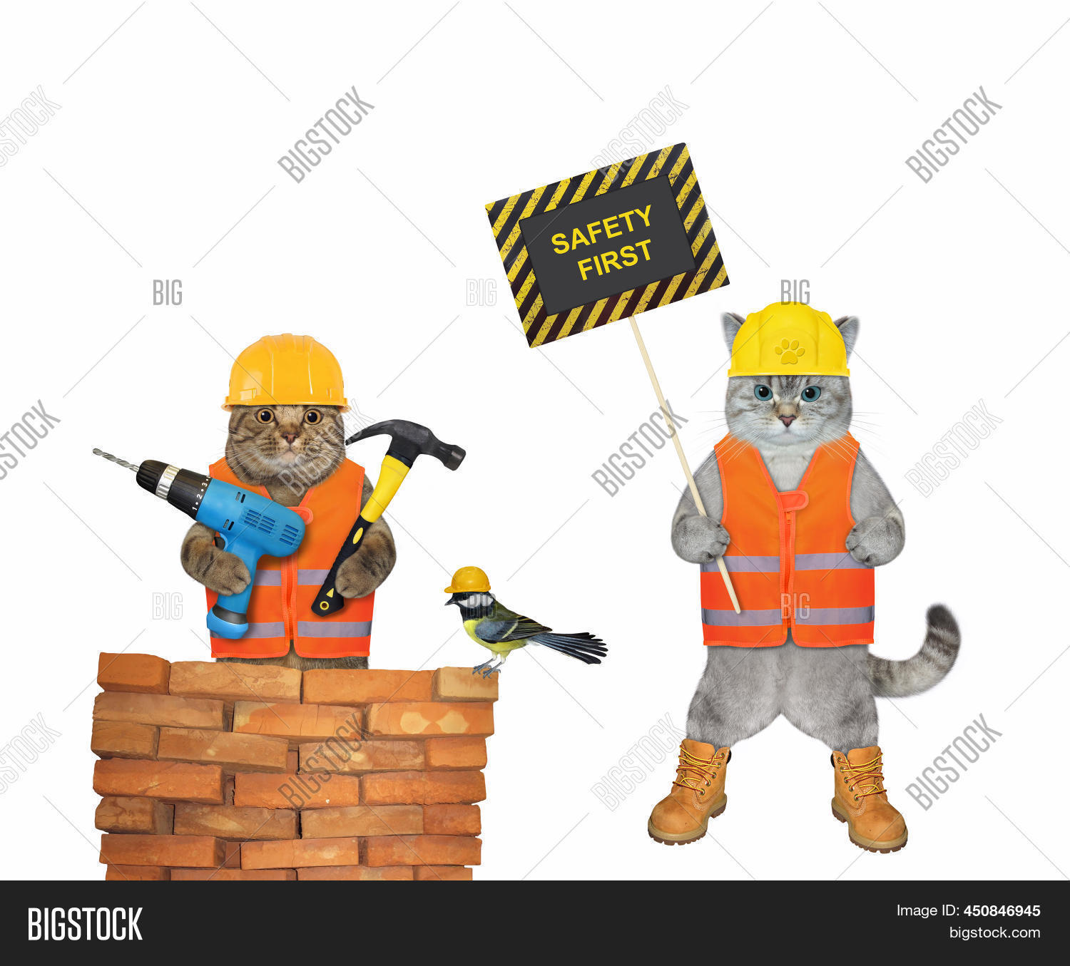 Two Cats Workers Image & Photo (Free Trial) Bigstock