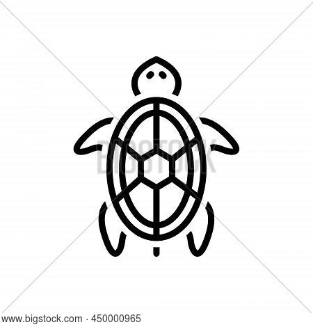 Black Line Icon For Turtle Amphibious Animal Quatic Tortoise Underwater Reptile