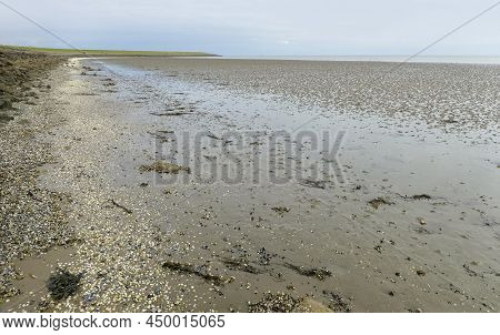 Scenery At Pelworm, A Island In North Frisia, Germany