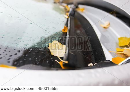 Leaves On The Hood Of A Car In Autumn In Raindrops