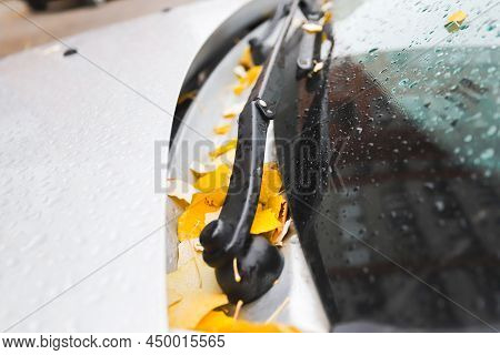Leaves On The Hood Of A Car In Autumn In Raindrops