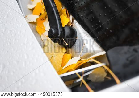 Leaves On The Hood Of A Car In Autumn In Raindrops