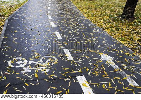 Cycle Path In The City Autumn Late Season With Snow